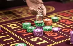 slots jungle casino presented on mobile device in Pakistan with slots and live games